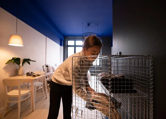 מלון דירות Bike'up ורוצלב